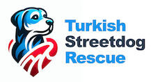 Turkish Streetdog Rescue Alanya